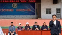 绿茵场上足球少年美文2024游戏电竞行业市场资讯14场足球胜负预测